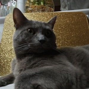 Meet your Posher, Chhana